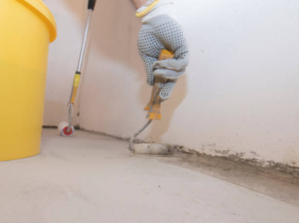 Best Pest Prevention Services  in Ithaca, NY